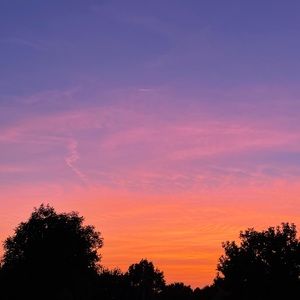 Meet your Posher, Dominique